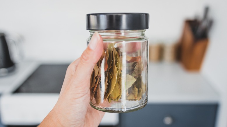 Hand holding glass jar of bay leaves