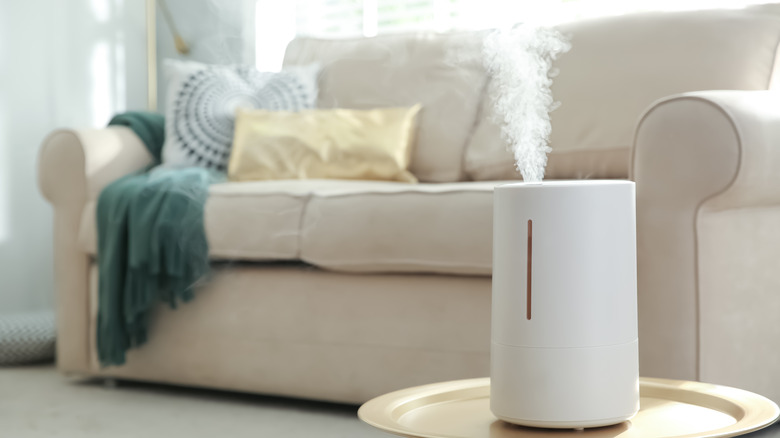 Humidifier on living room table