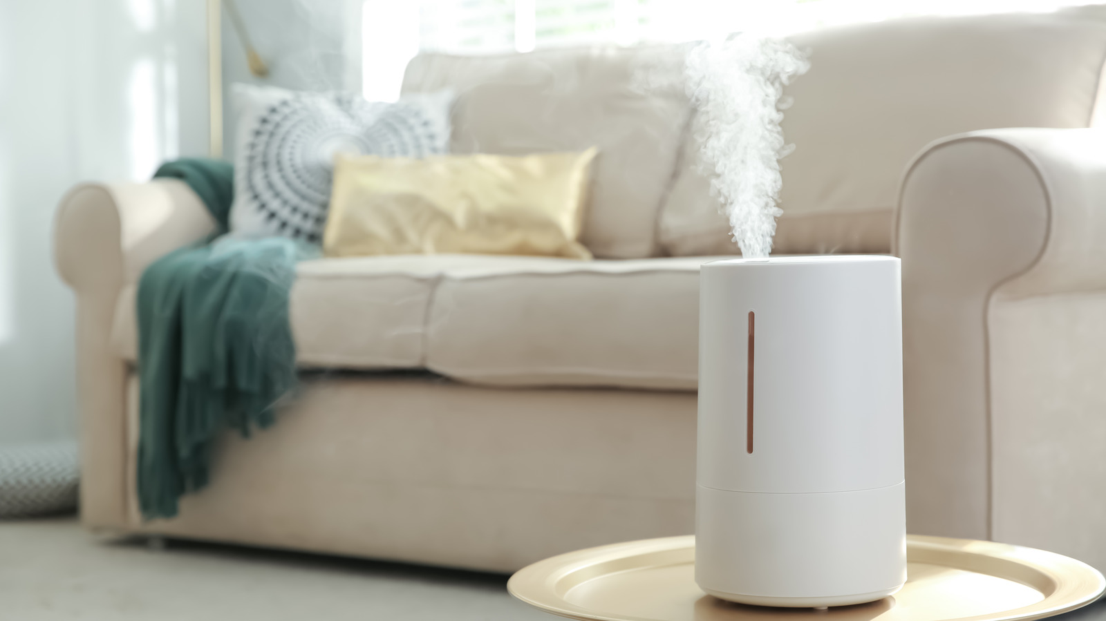 Can A Clean Humidifier Make You Sick?