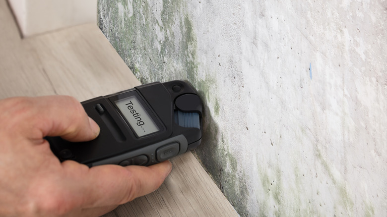 A person using a moisture meter against a gray, stained, wall