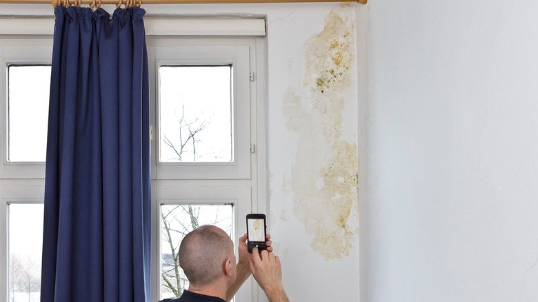 A man taking a picture of a large wall stain in a corner next to a window