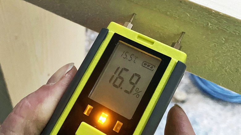 A pinned moisture meter piercing a wooden area reading 16.9 percent and lit up with a yellow light
