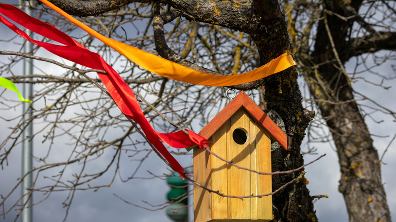 Red and orange ribbons near bird house