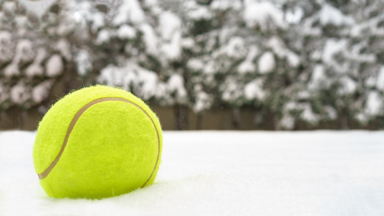 Tennis ball in snowy yard