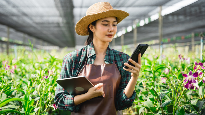Woman looking at phone in plant nursery