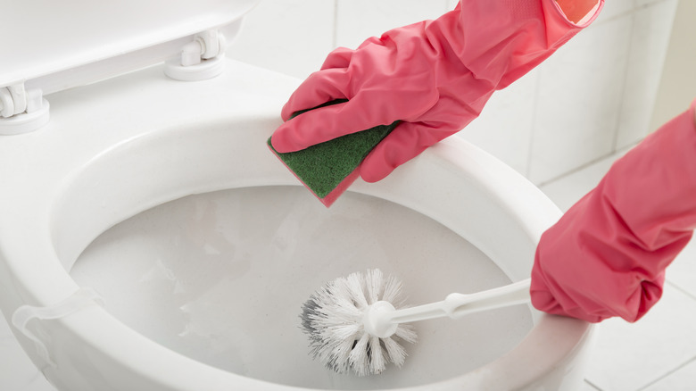 Cleaning a toilet