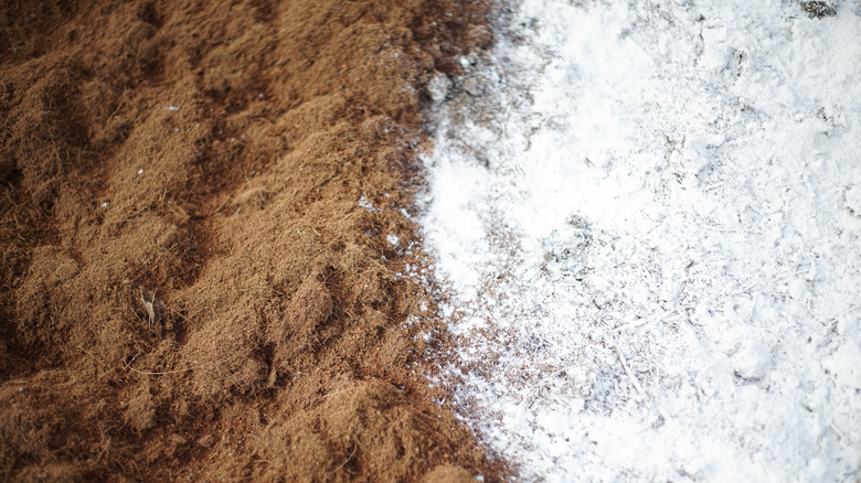 adding lime to soil 