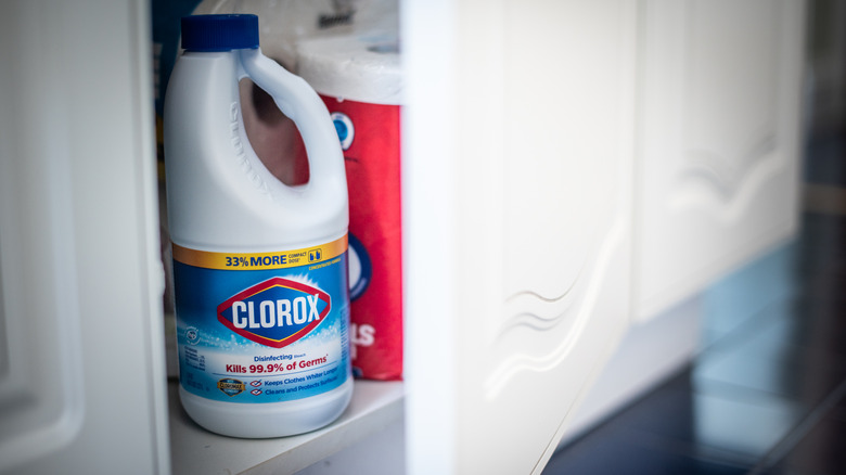 Clorox bleach in white cabinet