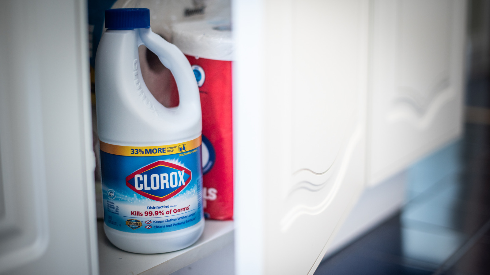Can Bleach Be Used To Get Rid Of Bed Bugs?