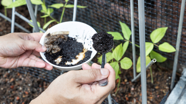 Coffee grounds in a bowl being scooped up.