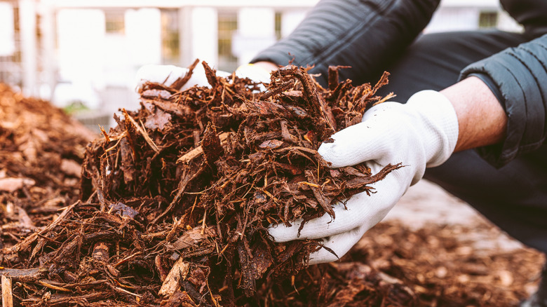 Sustainably forested wood mulch used to deter ticks