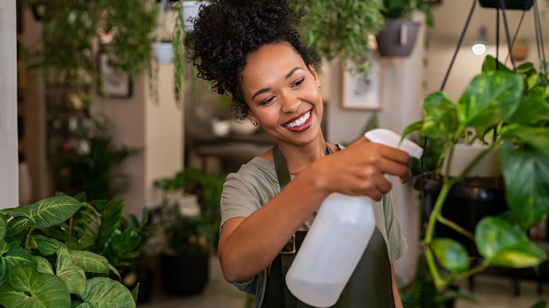 Person spraying plants