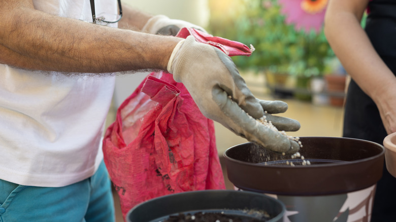 Putting compost in pot