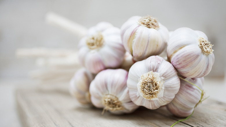 Garlic bulbs in a bunch