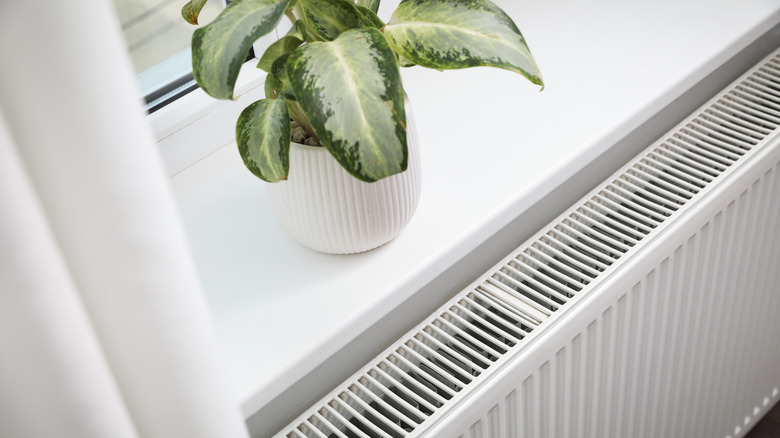 A small houseplant in a white vase next to heater.