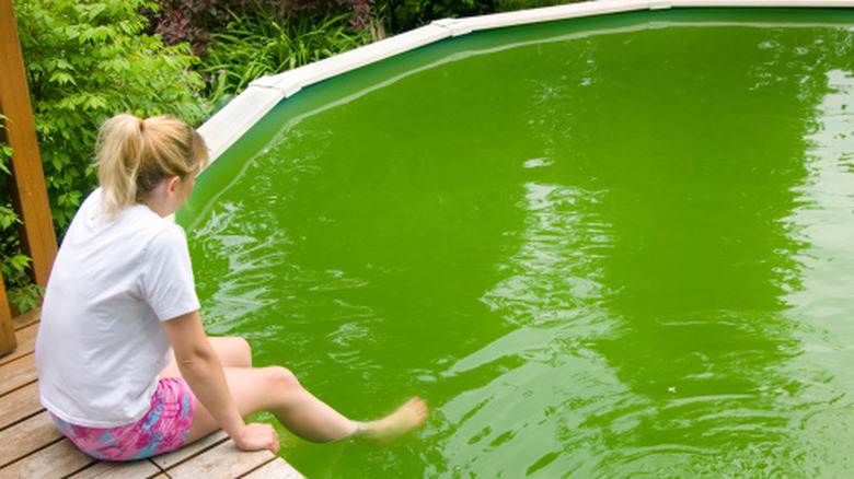 A young woman sits on a wooden deck and dangles her legs into a green, algae-filled swimming pool in a backyard.