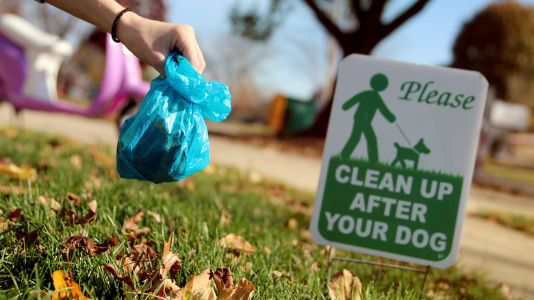 A person holds a bag of dog poop next to a sign asking dog owners to clean up after their pet.