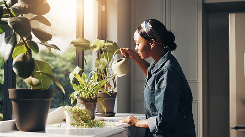 A woman standing in front of a sunny window waters potted plants with a small watering can.