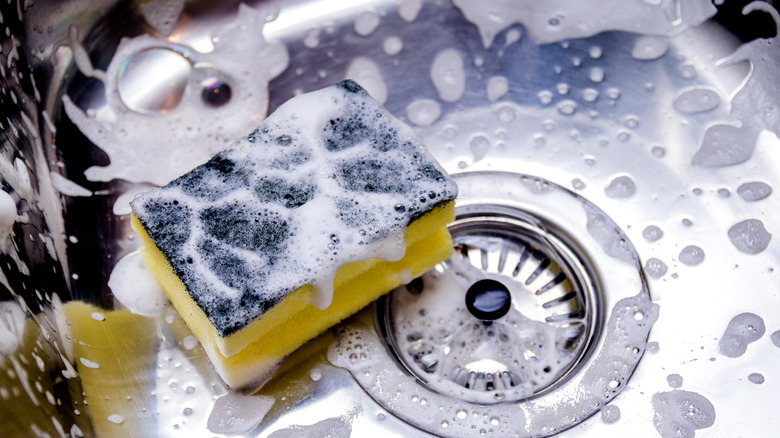 Kitchen sponge wet in sink