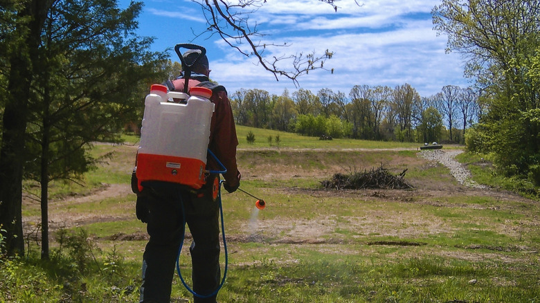 Person spraying near a trail for ticks