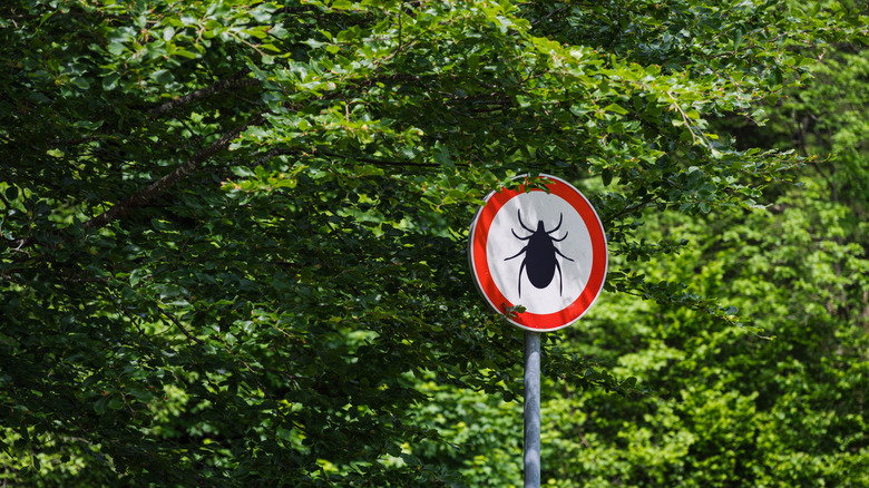 tick sign