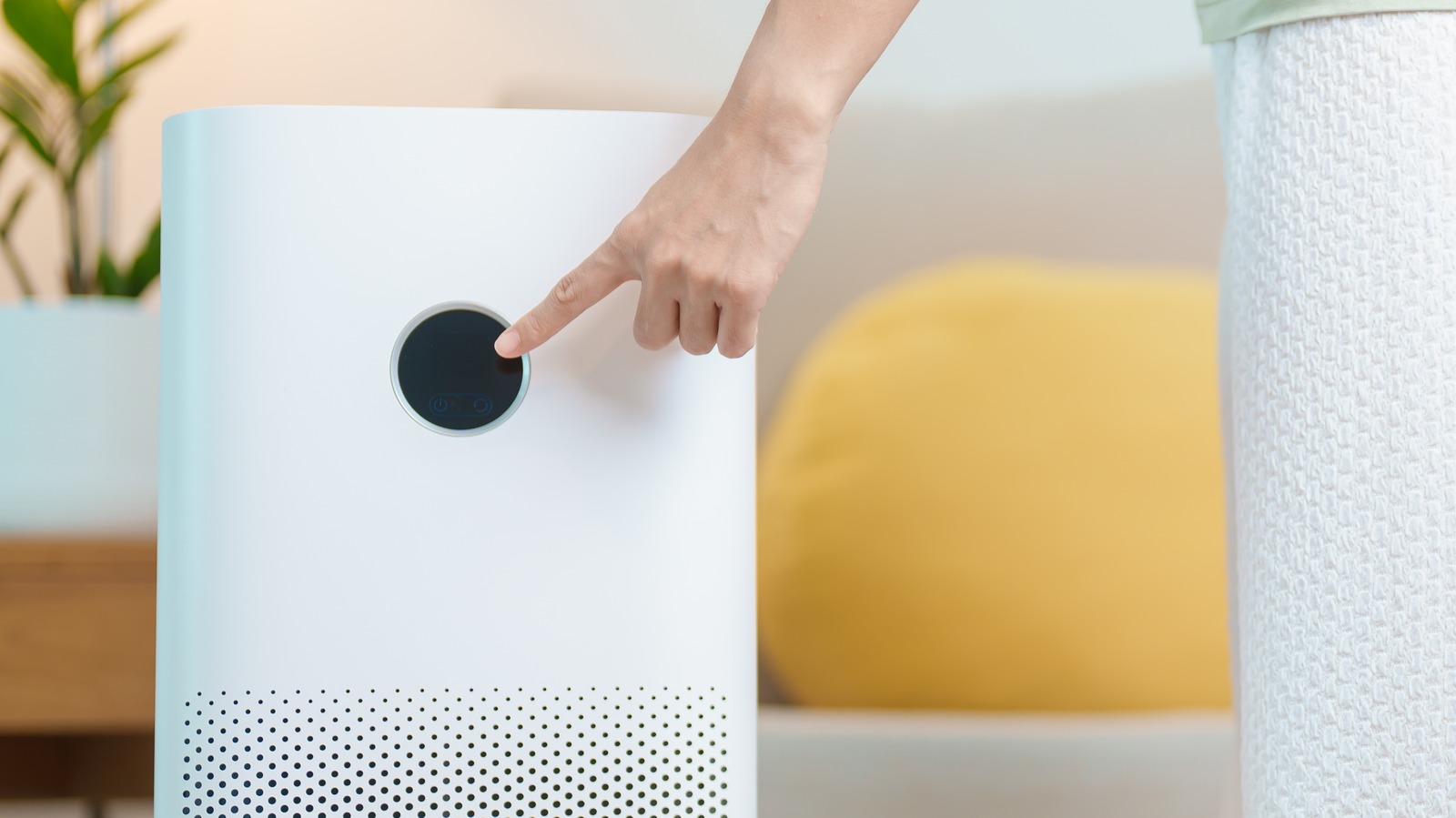 Air purifier for bathroom mold discount