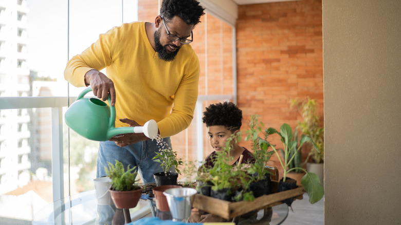 Father and son watering plants