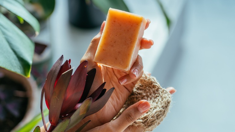 Woman holding soap and plant