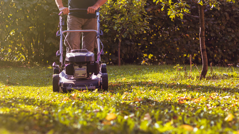 Person mowing the grass with a lawn mower surrounded by falling leaves