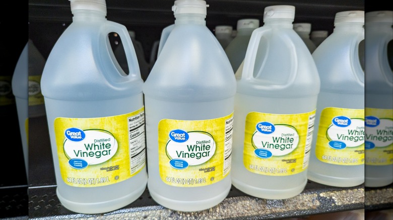 White vinegar bottles displayed on a store shelf