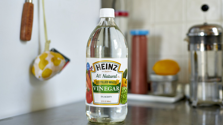 Can Vinegar Really Help Keep Snakes Out Of The Yard
