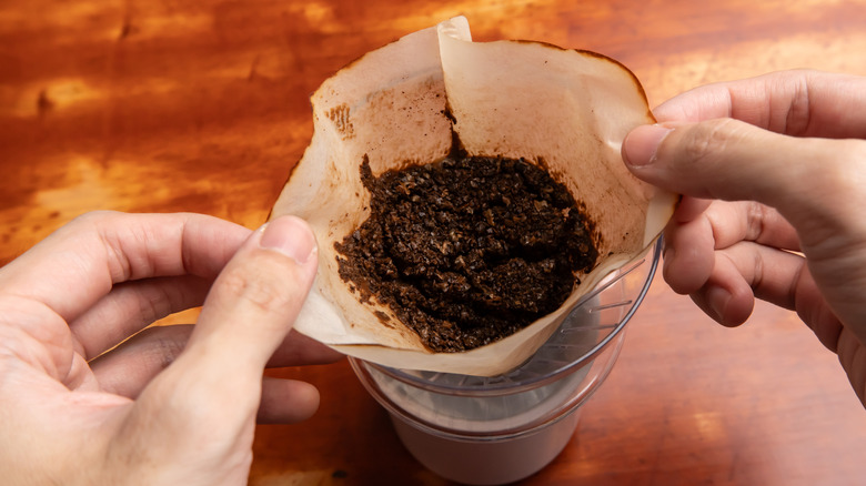 Hands holding a pour over coffee filter with used grounds in it