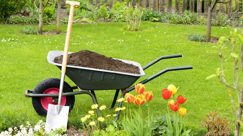 Adding compost to grass