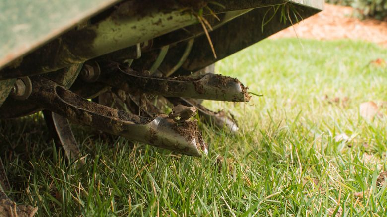 Tines from Ride On Aerator that Aerate the Grass for Lawn Care Services