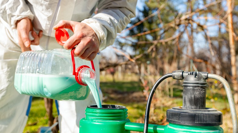 person pouring herbicide