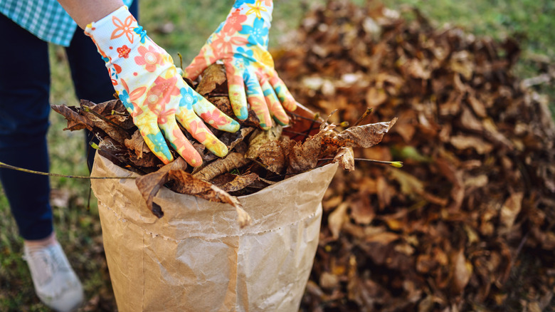 Woman placing leaves in paper yard waste bag