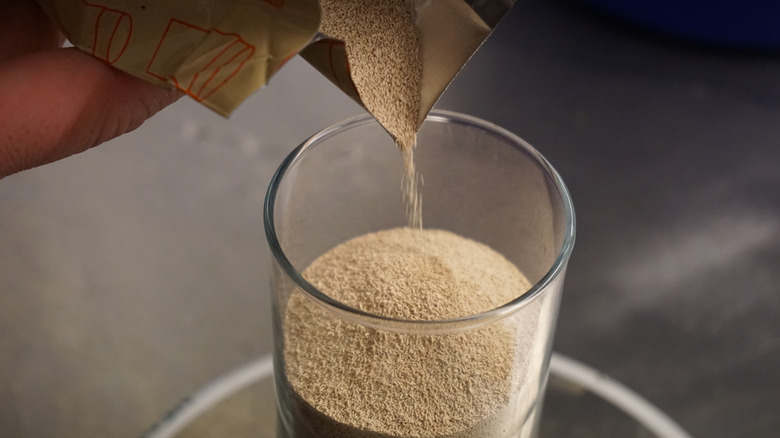 Person pours a packet of yeast into a small glass in preparation to unclog a slow, smelly drain.