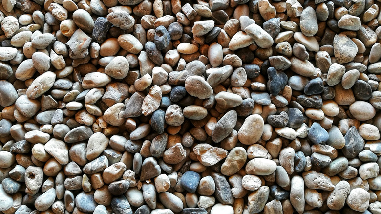 A close-up view of a mound of pea gravel