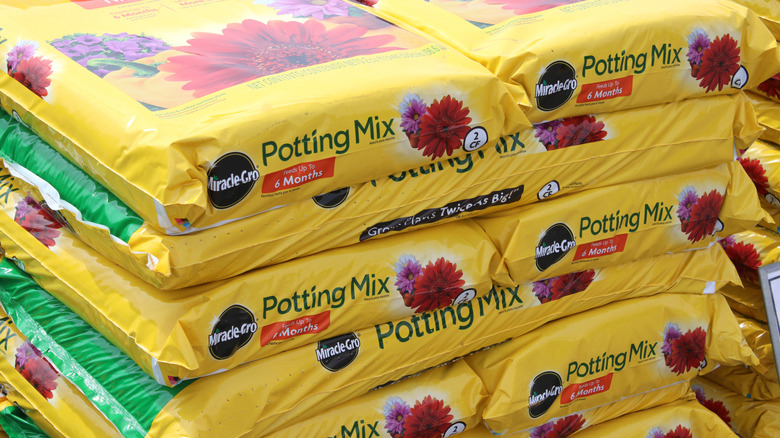 Bags of potting mix at the gardening center