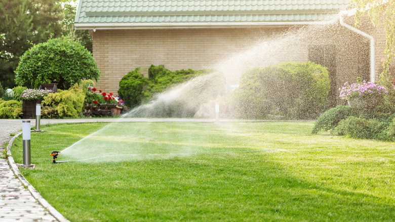 Sprinkler watering a green lawn outside of a home