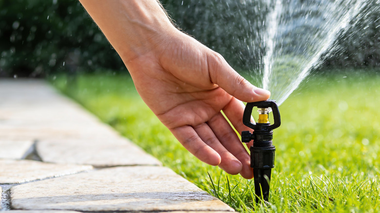 A person touching a sprinkler that's releasing water