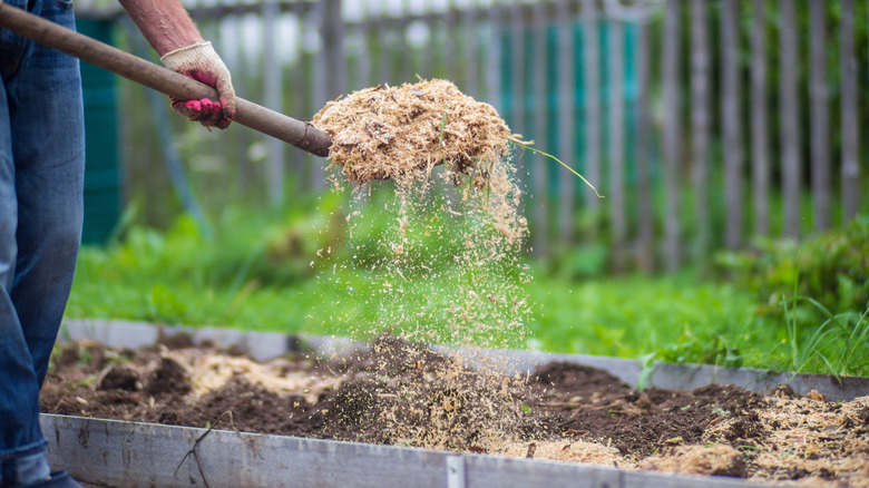 A gardener adding organic matter to a garden bed