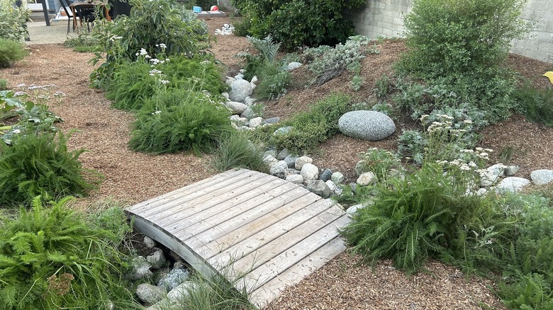 A Farmscape design featuring mulch, irrigation stones, and native plants.