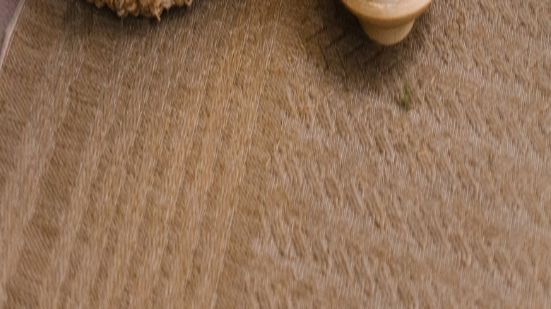 Potted minimalist, natural Christmas trees decorated with pinecones and lights