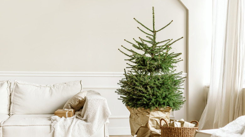 Cozy living room with realistic Christmas tree with no ornaments, just twinkle lights