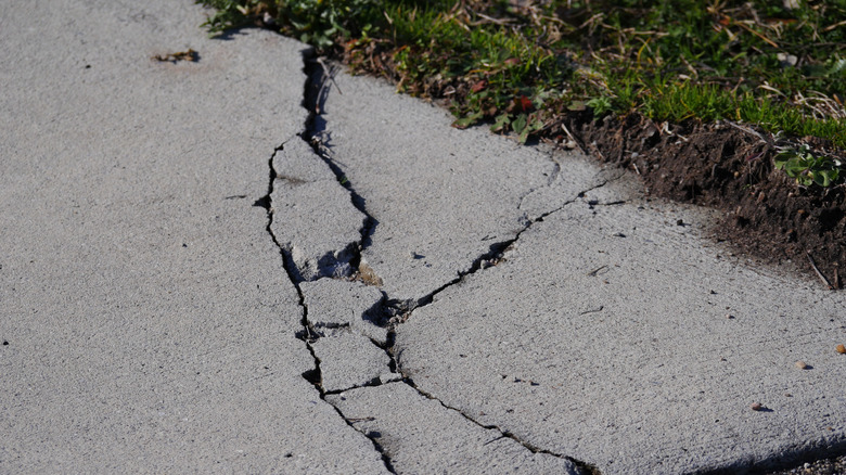 crack in driveway