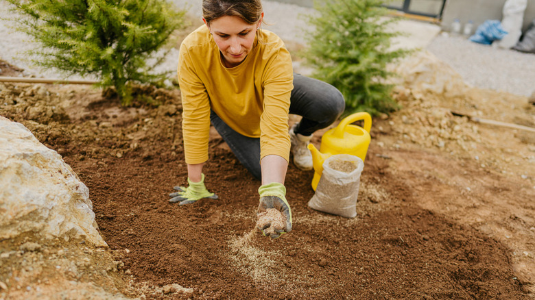 Woman sowing grass seed on bare soil