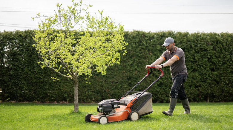 Man pushing lawn mower