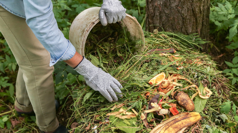 A person wearing gardening gloves adds grass clippings and kitchen scraps to a compost pile from a large plastic bucket.