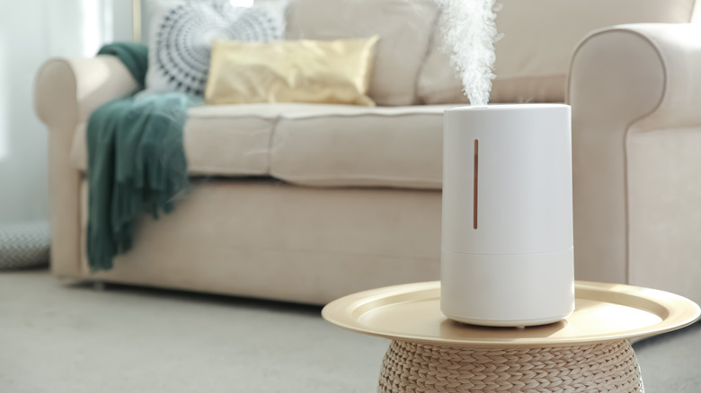 Steaming humidifier